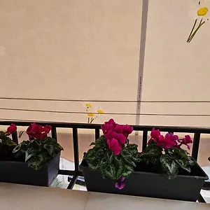  Appartement Center Albanie